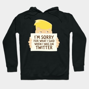 I'm sorry for what I said when I was on Twitter Hoodie